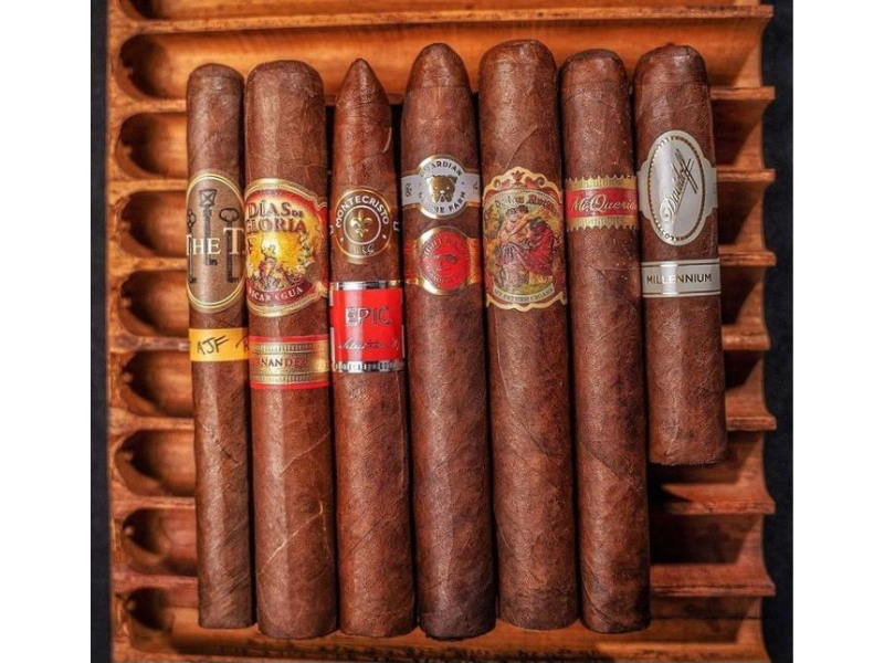 Sử dụng máy tạo độ ẩm để duy trì độ ẩm thích hợp